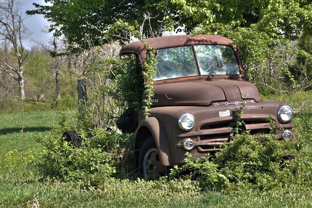 brown vintage car on green grass field during daytime