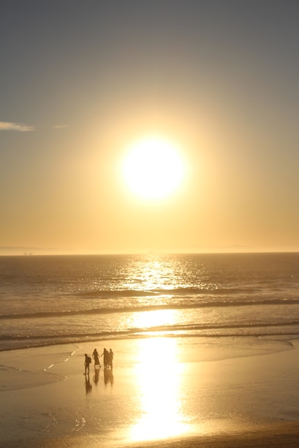 people on beach during sunset