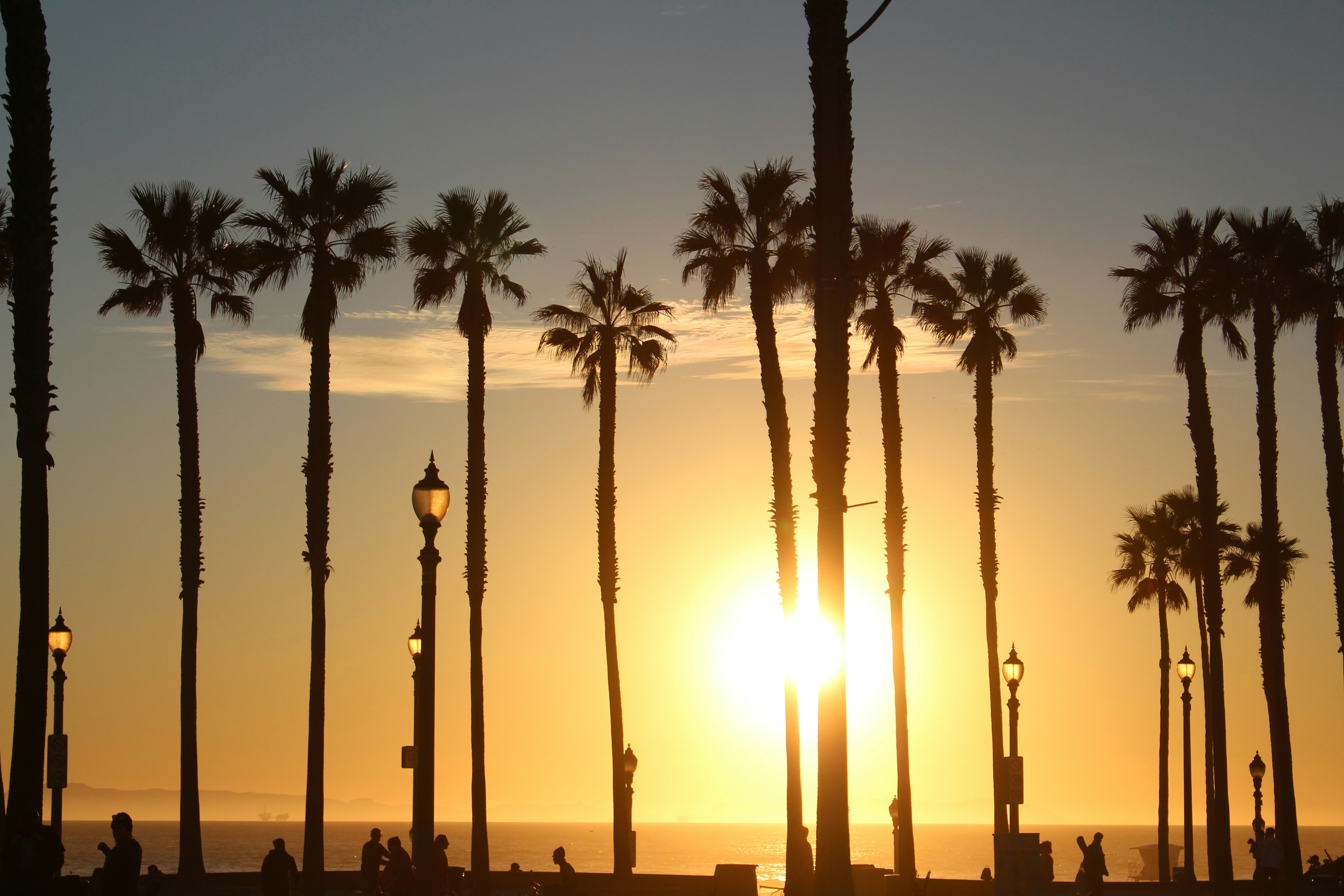 Photo by meltotheissa