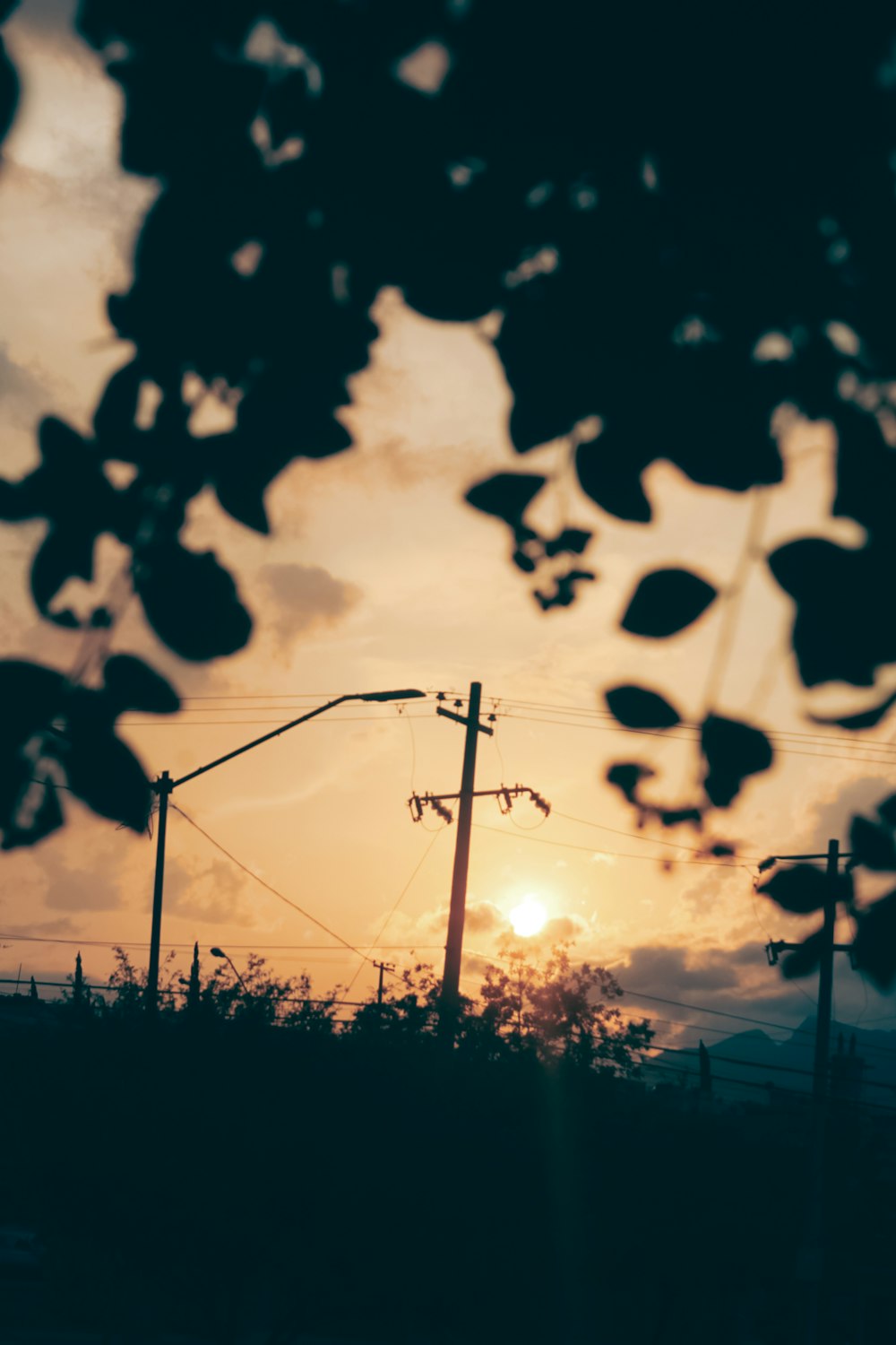 silhouette of electric post during sunset