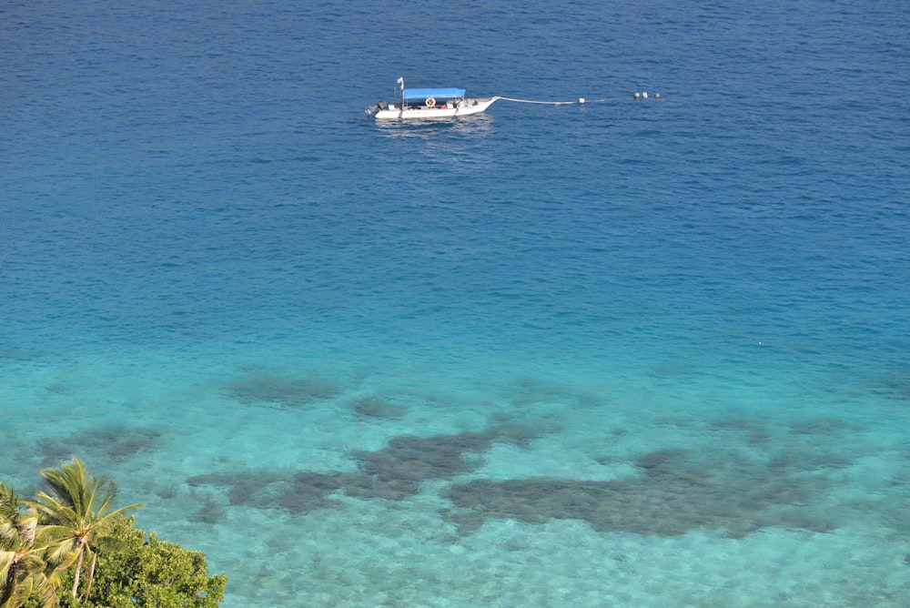 white boat on blue sea during daytime