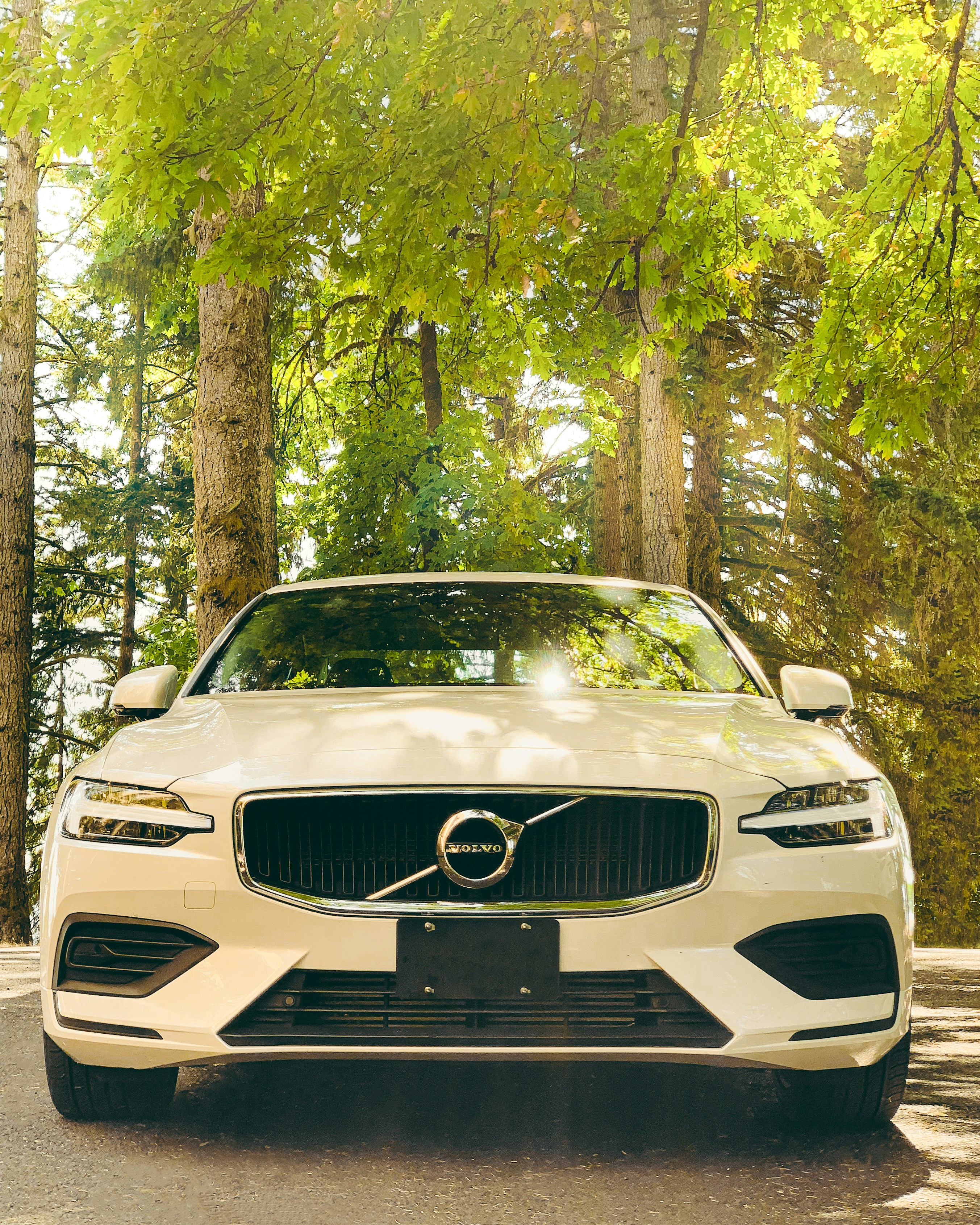 1000 Volvo Pictures Download Free Images On Unsplash