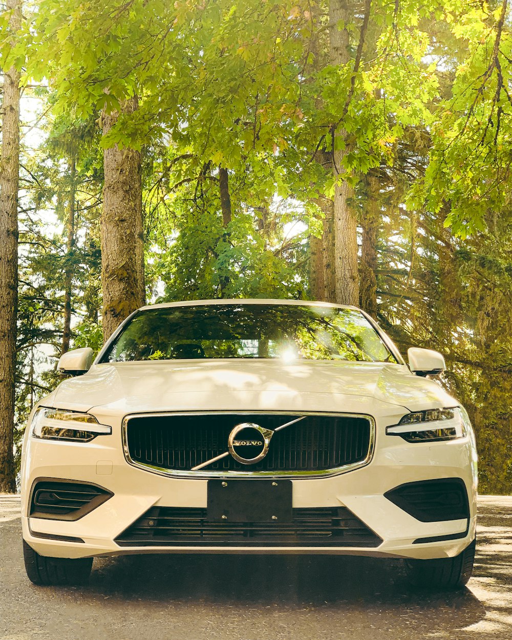 Mercedes Benz Classe C blanche garée près d’arbres pendant la journée