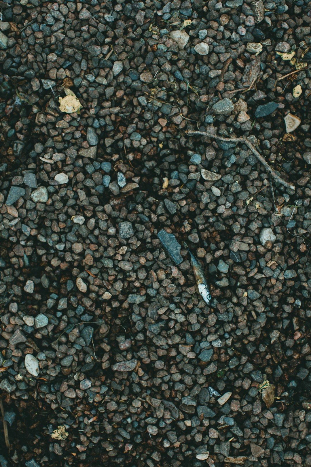 gray and black stones on ground