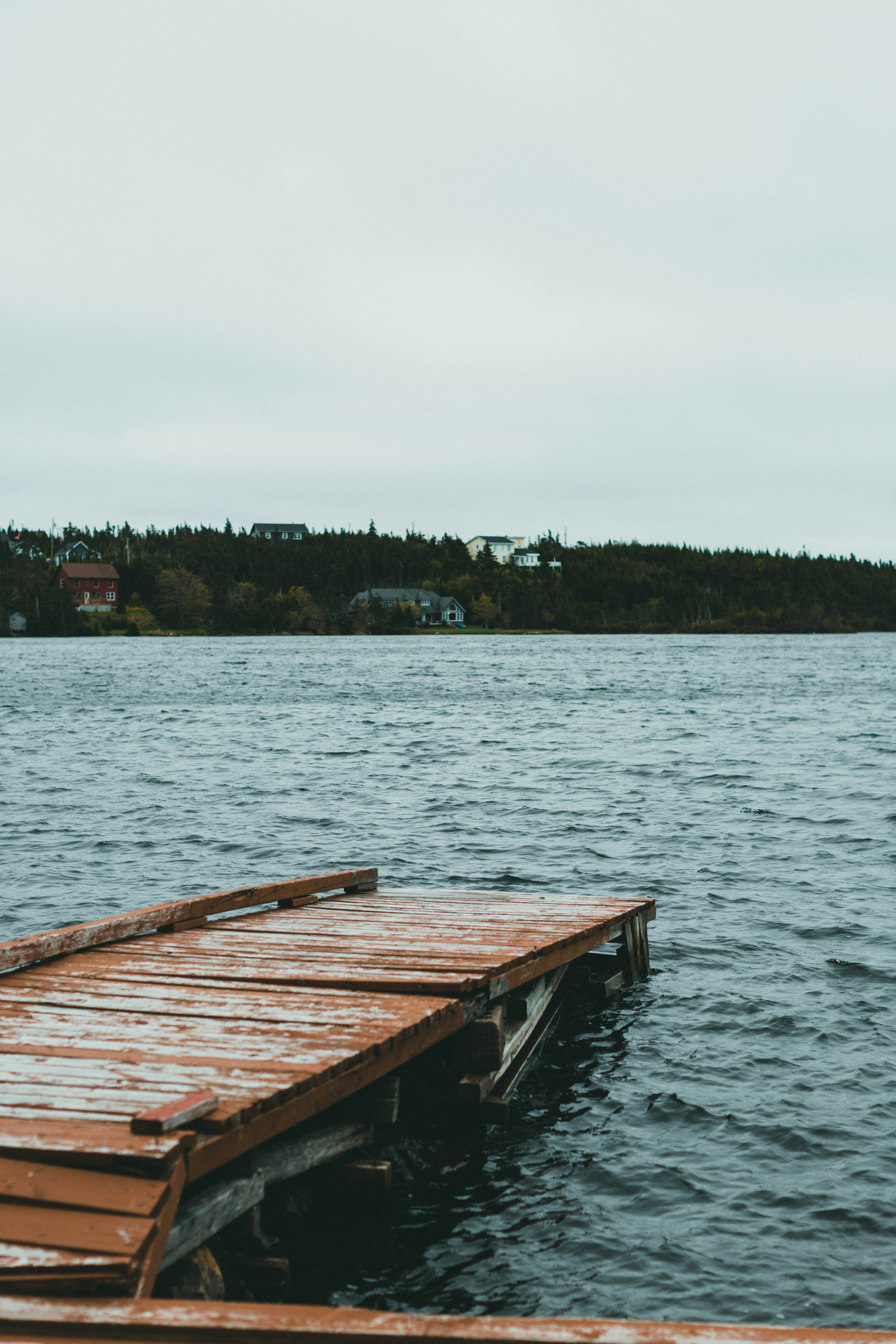 Photo by theshuttervision