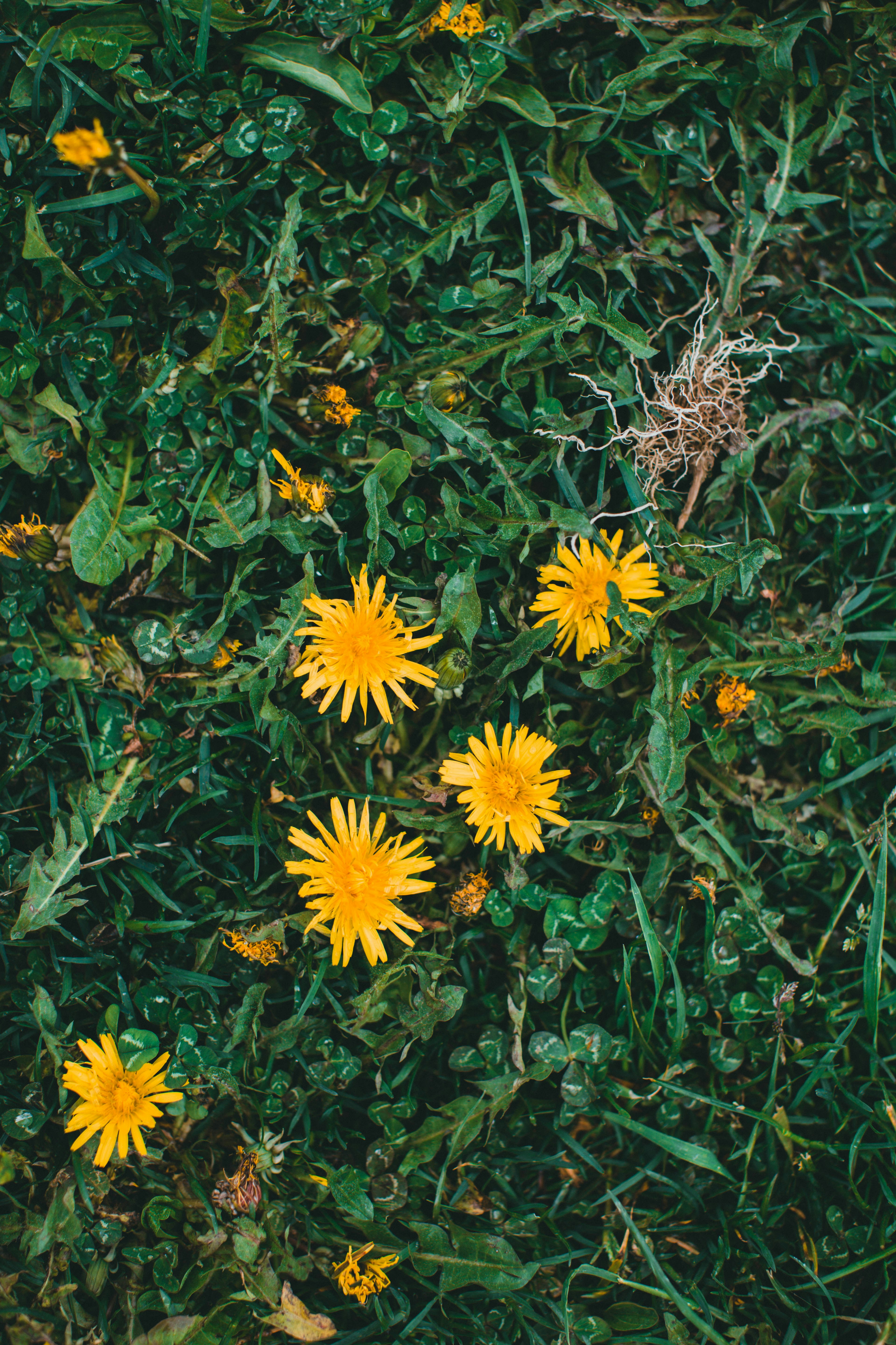 Photo by theshuttervision