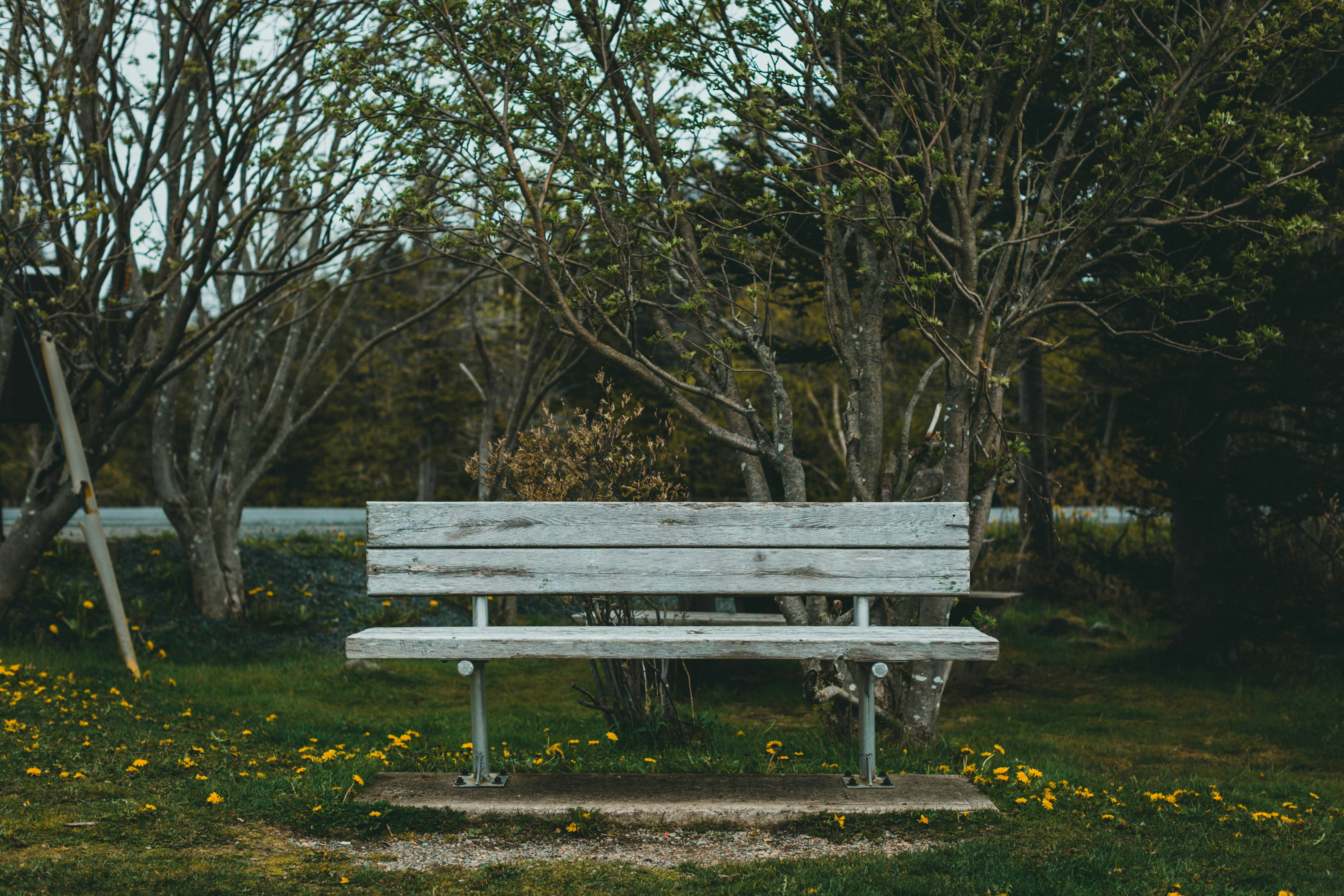 Photo by theshuttervision