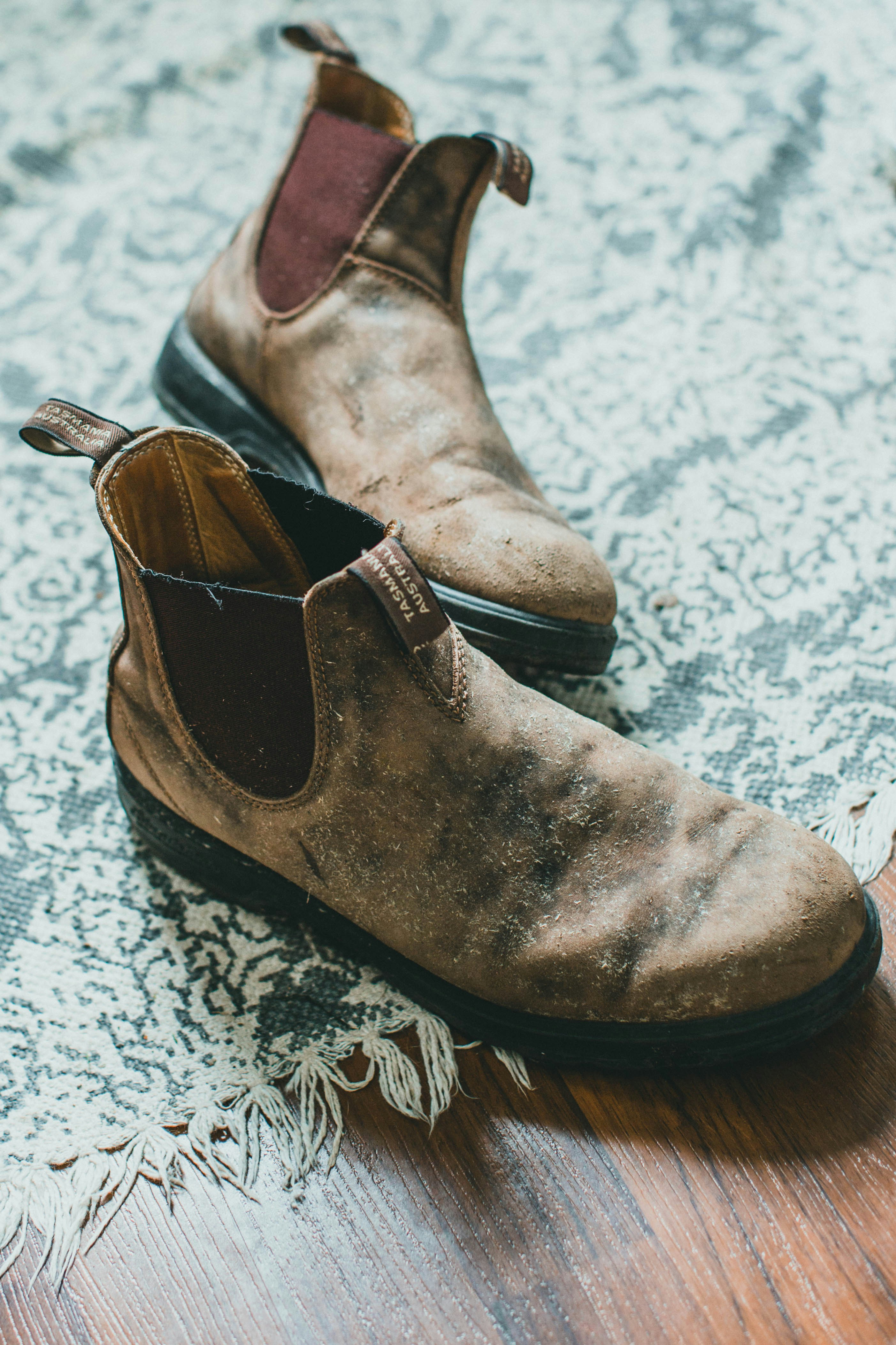 Photo by theshuttervision