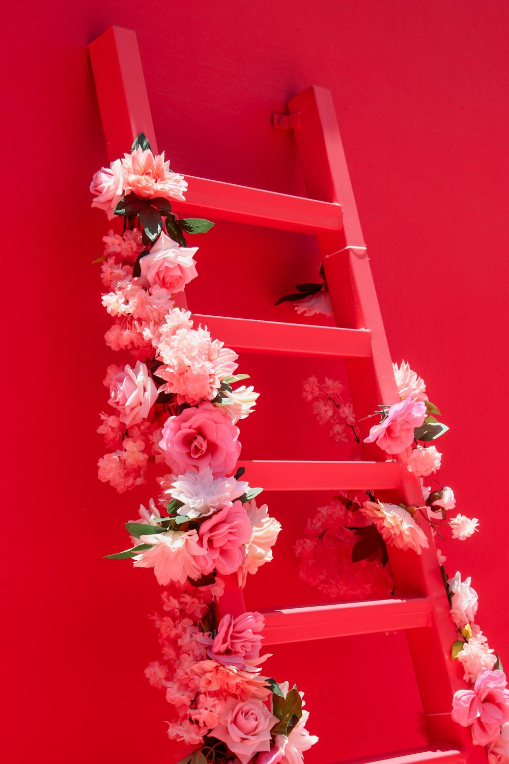 pink and white flowers on pink wooden frame