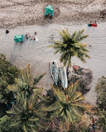 aerial view of green palm trees on white sand beach