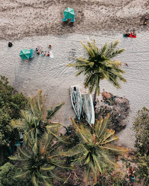 aerial view of green palm trees on white sand beach