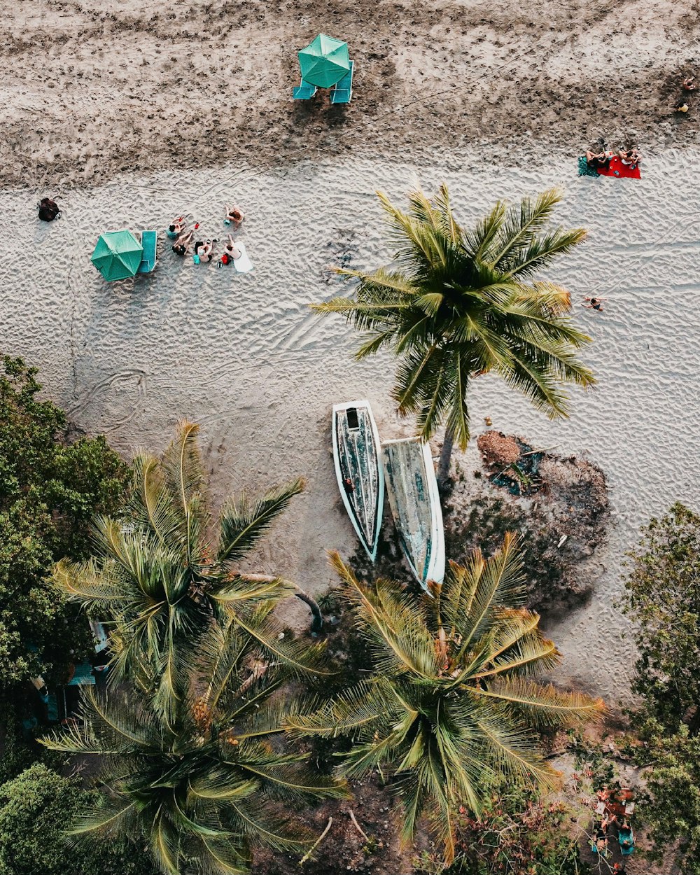 aerial view of green palm trees on white sand beach