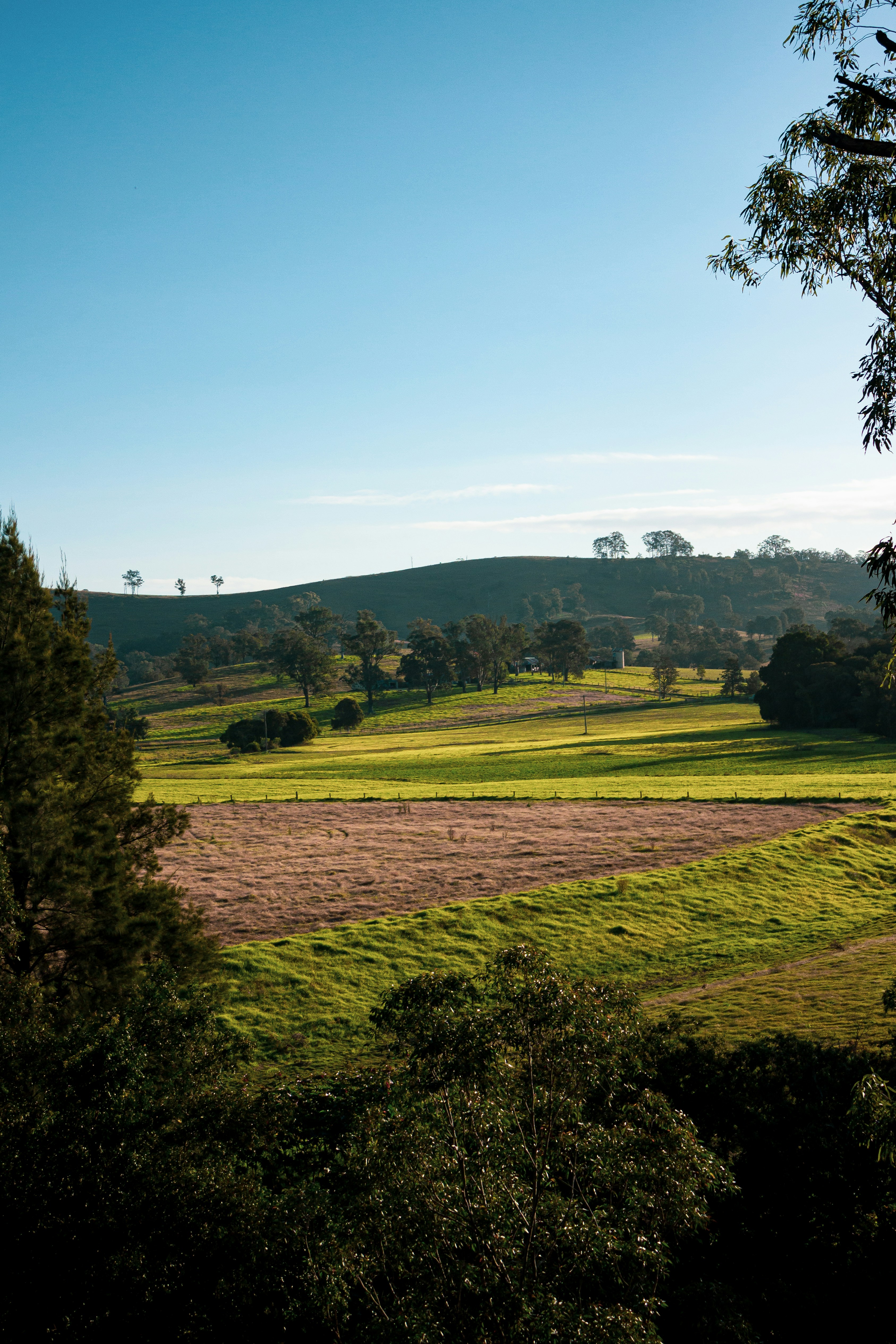 Photo by saxon_white