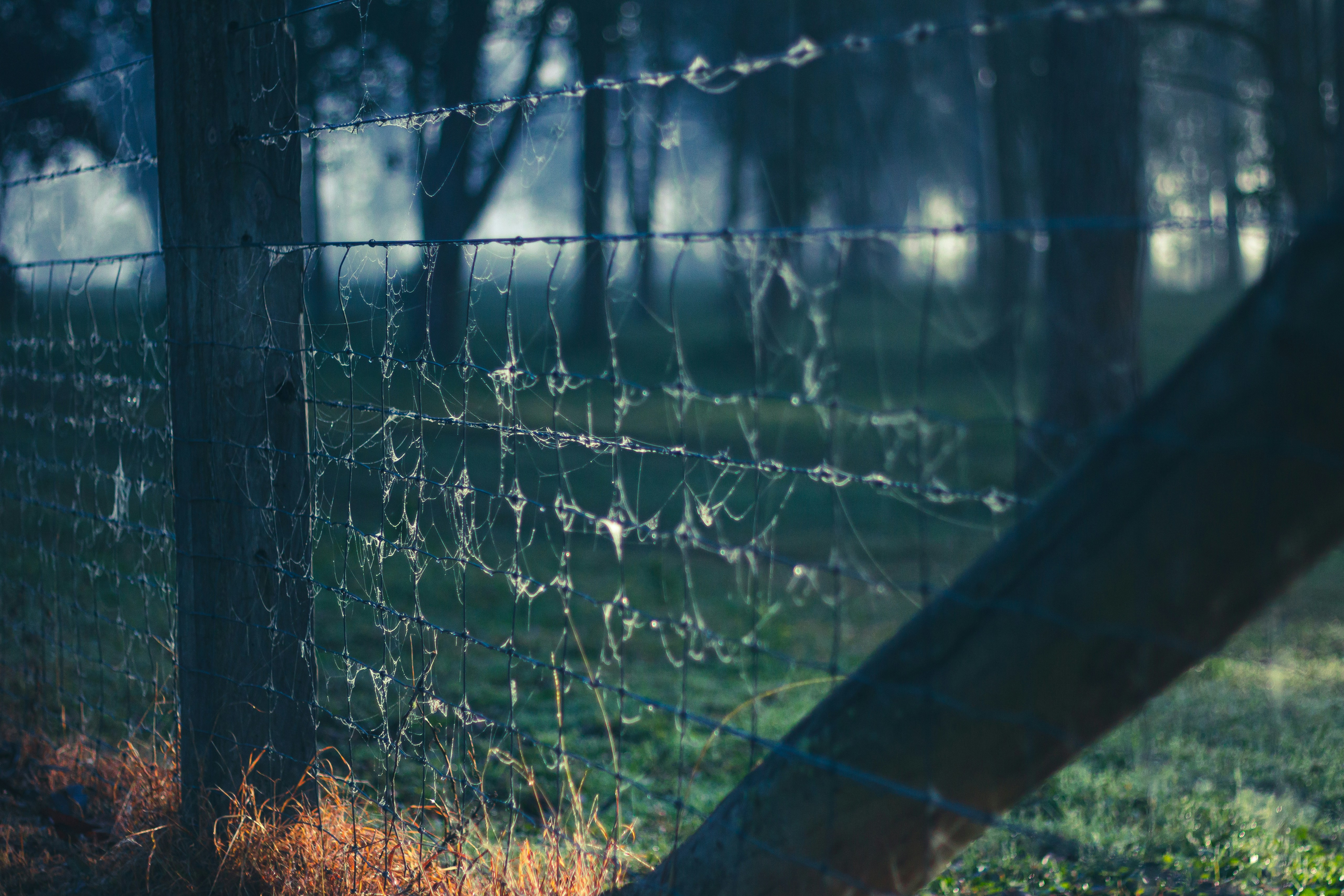 Photo by saxon_white