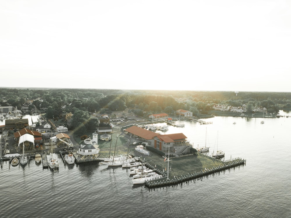 people walking on dock near houses during daytime