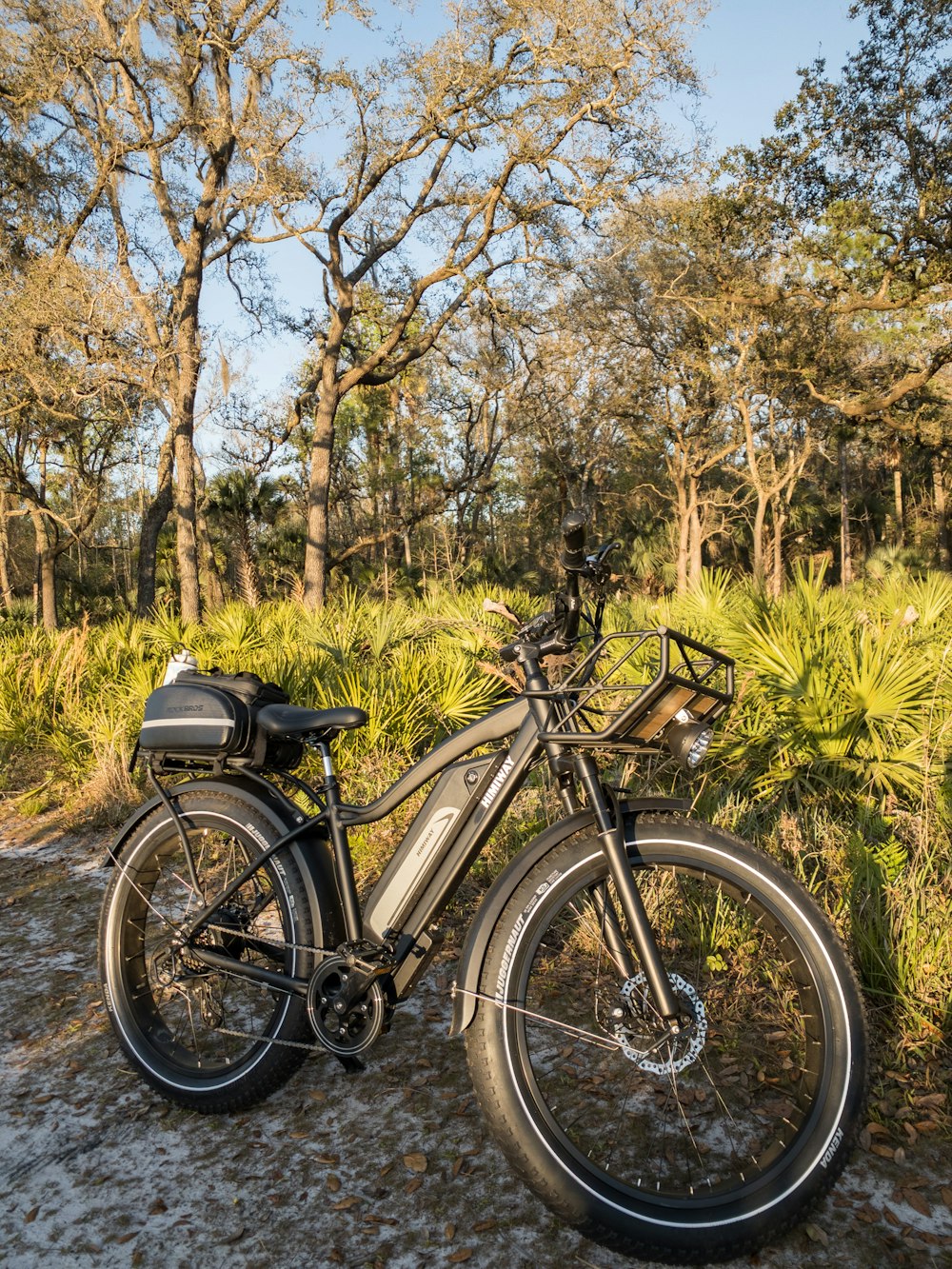 black and gray mountain bike on green grass field