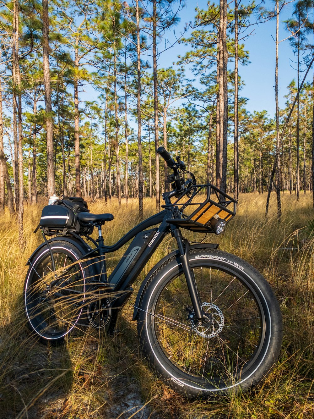 Bicicleta negra y marrón en el campo de hierba marrón durante el día