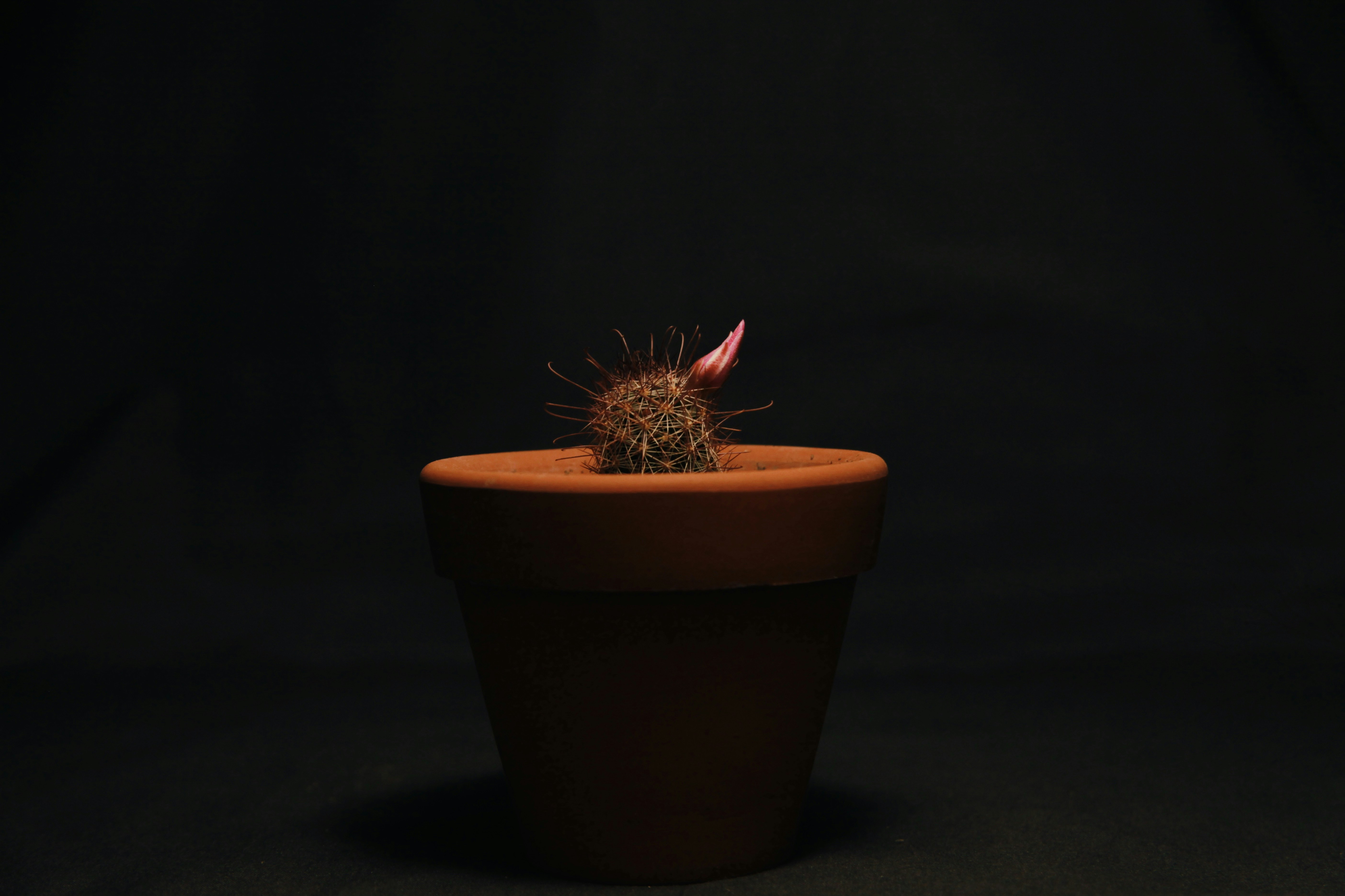 Photo by thomaschieu