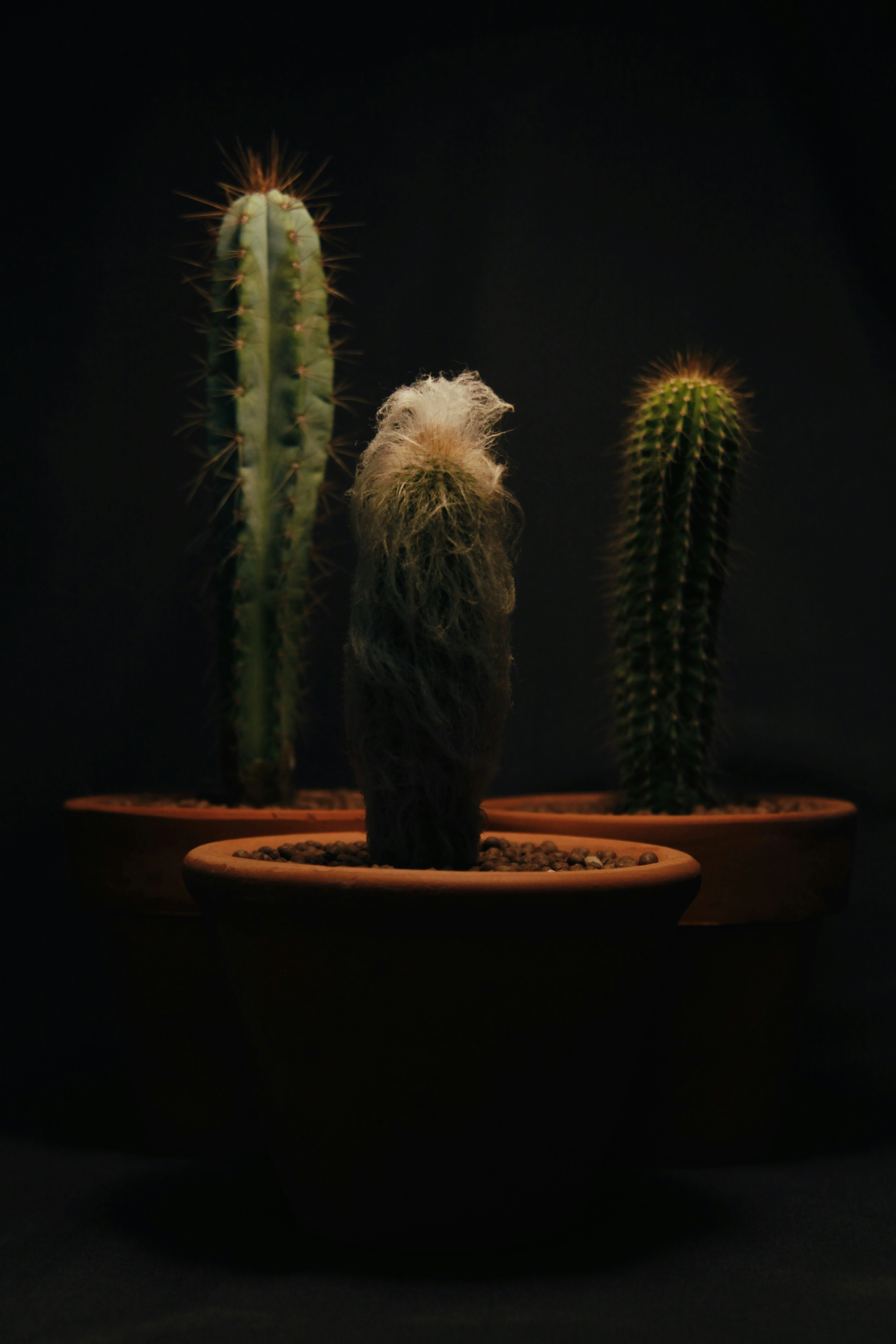 Photo by thomaschieu