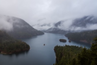 A serene landscape capturing a misty morning by a quiet lake