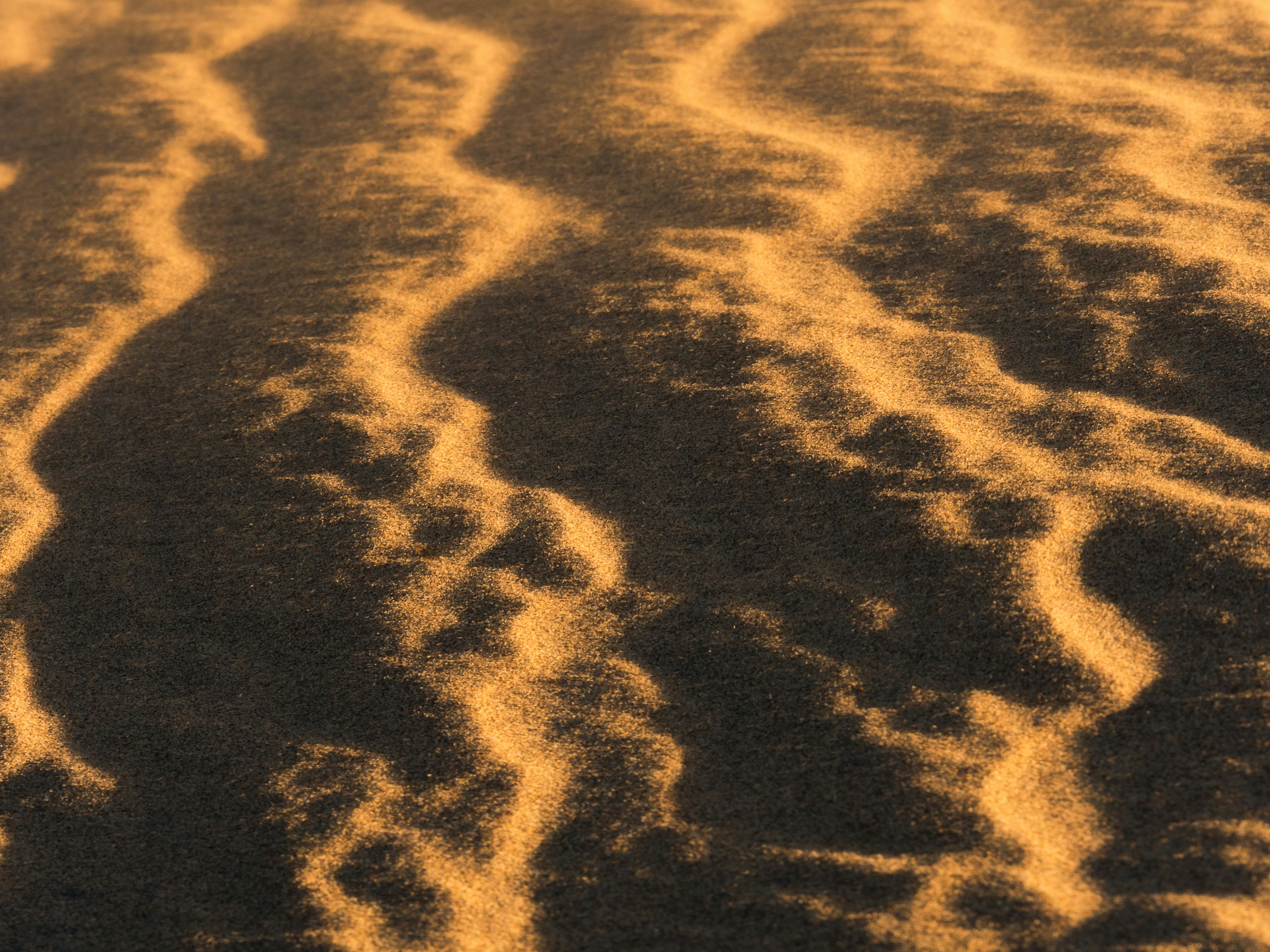 Photo by markbasarabvisuals