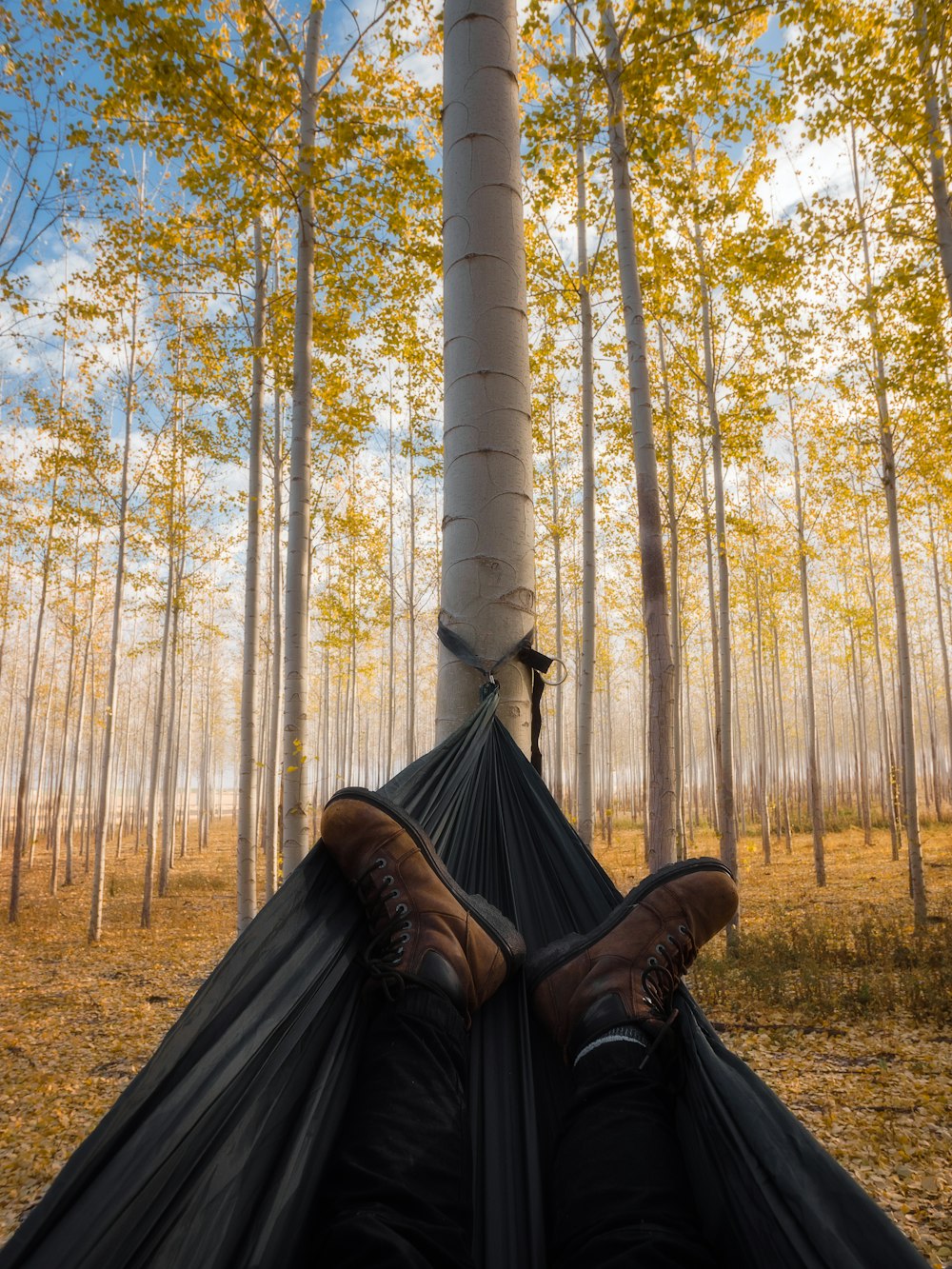 person lying on brown tree trunk during daytime