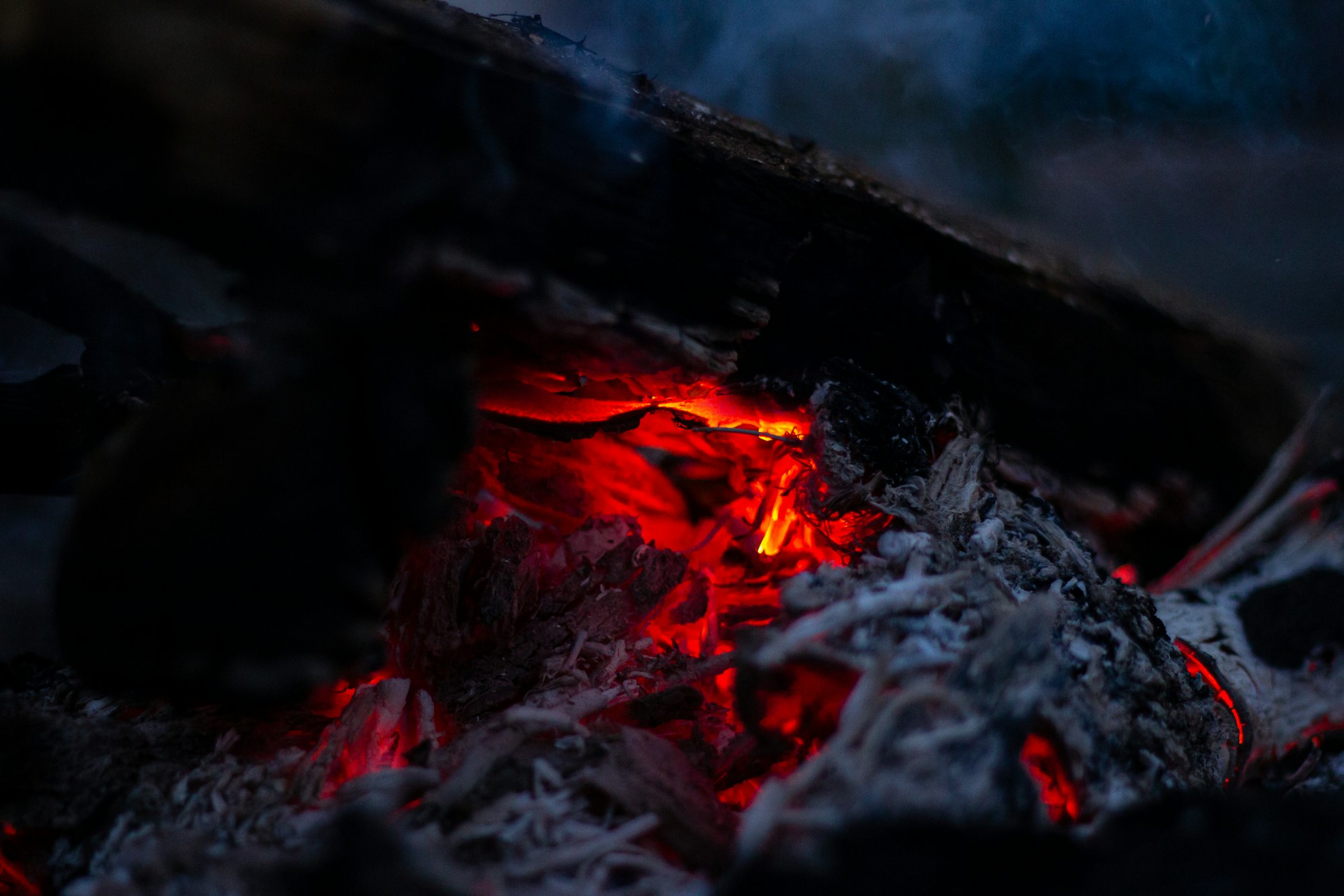 Earth & Ember Collective: Nurturing Strength, Igniting Purpose