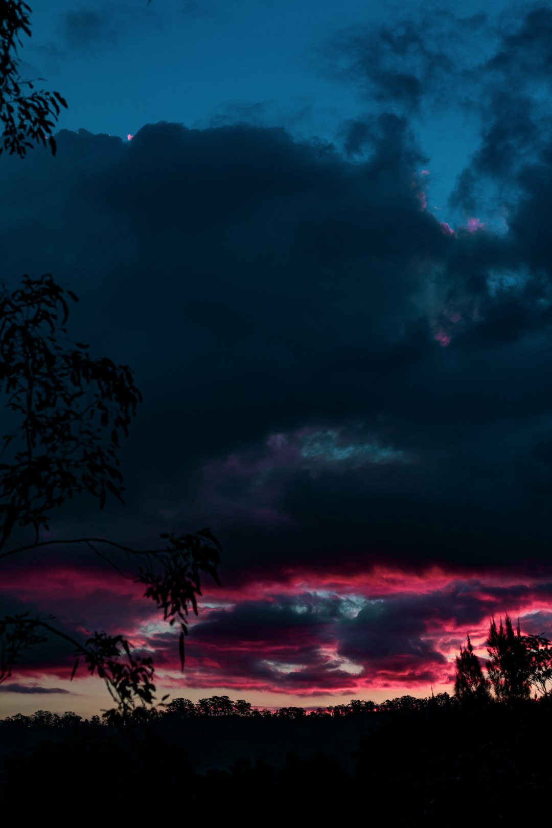 silhouette of trees under cloudy sky during sunset