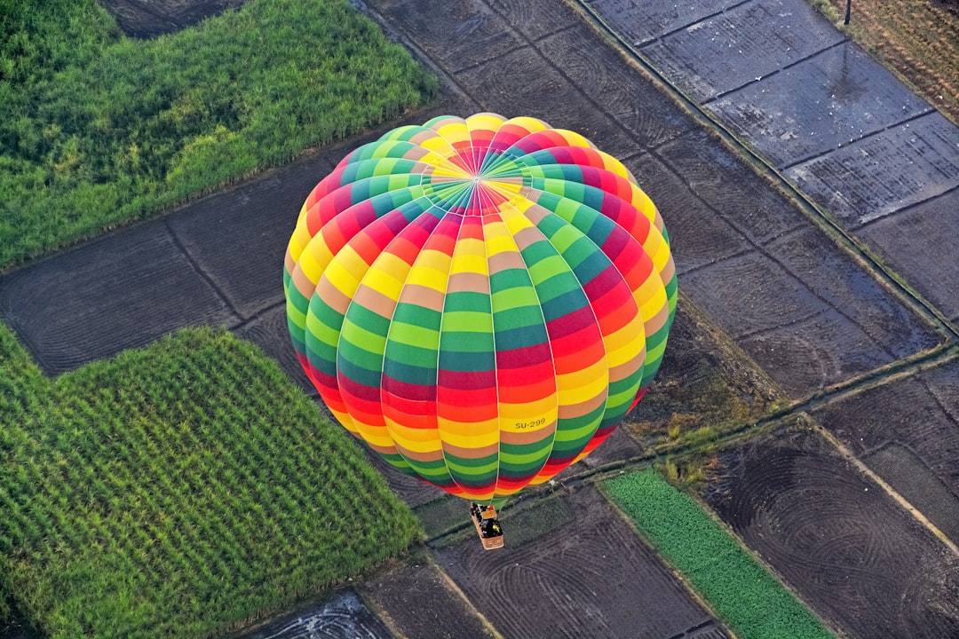 green yellow and blue hot air balloon on green grass