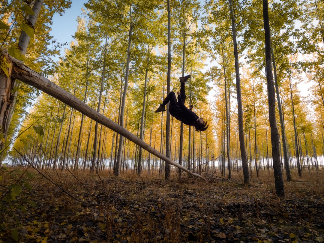 person hanging on brown wooden swing surrounded by trees during daytime