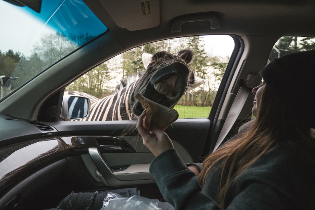 woman in gray jacket driving car