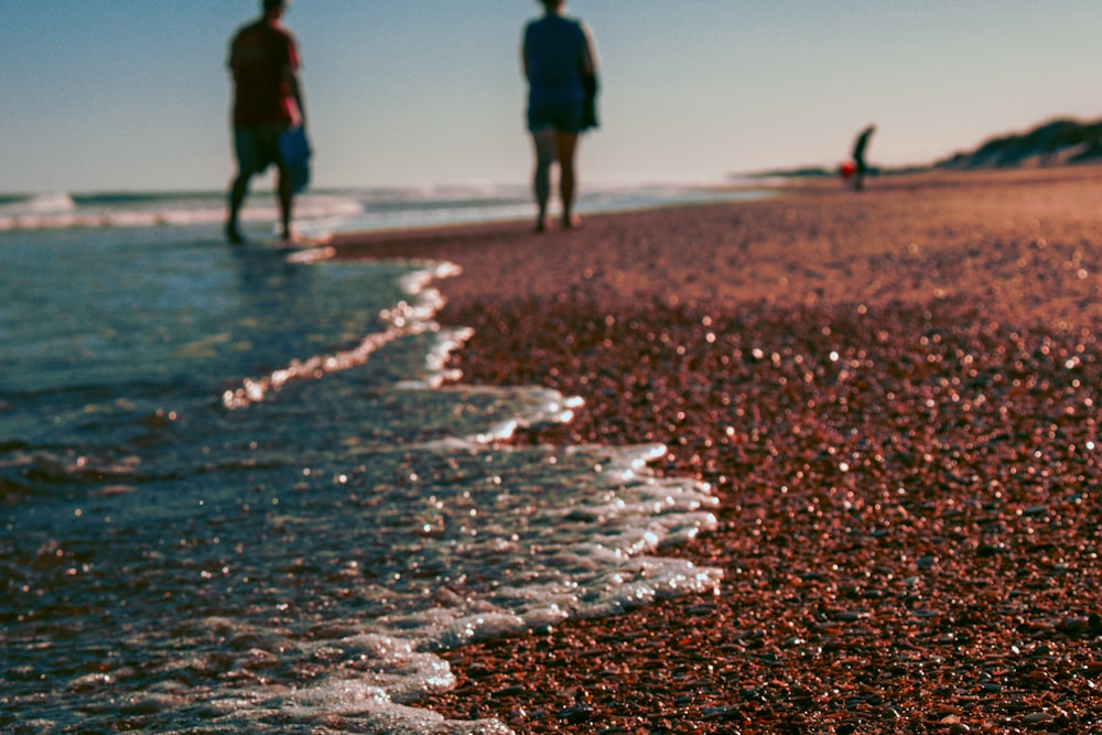 Menschen, die tagsüber auf braunem Sand spazieren gehen