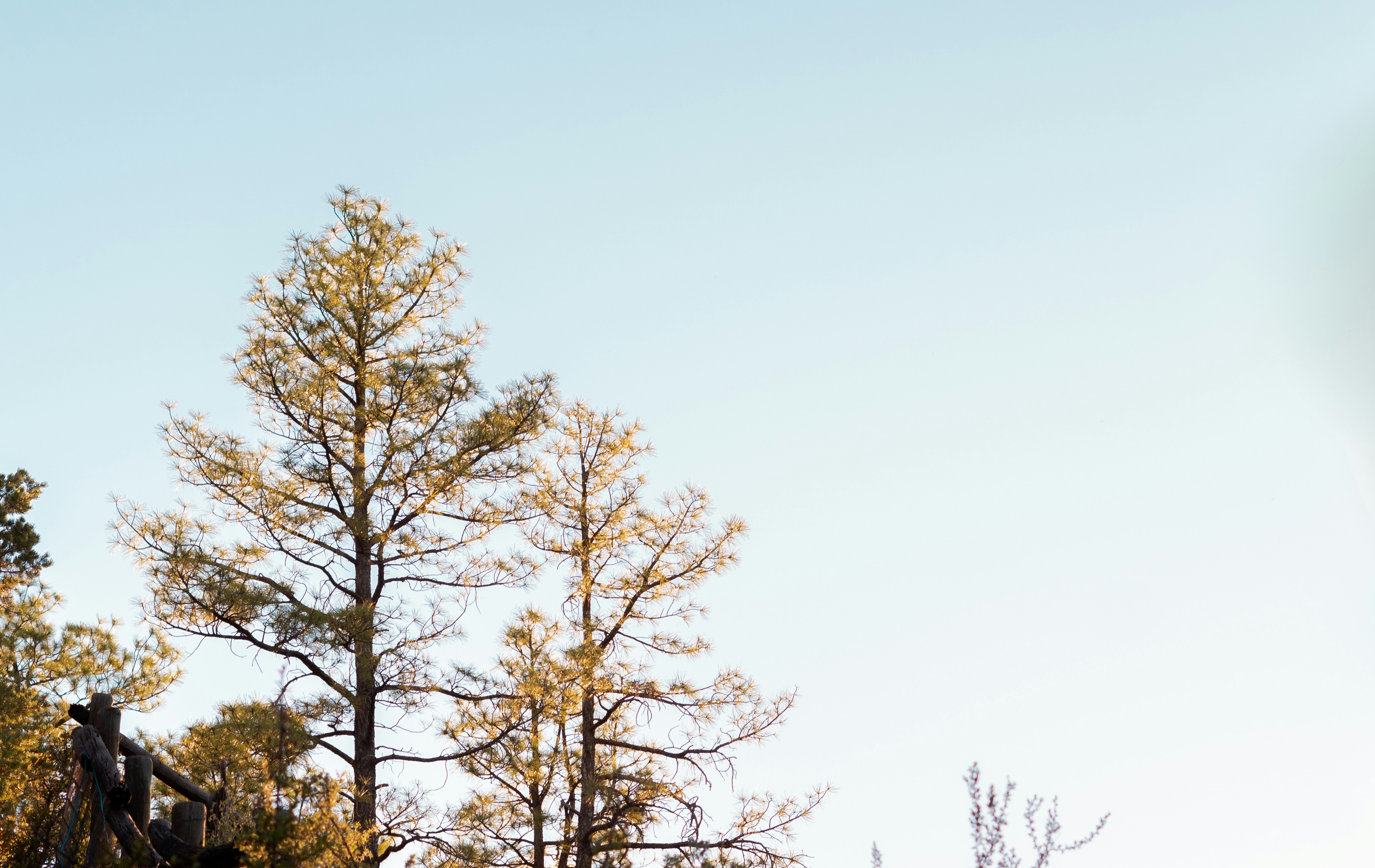 Photo by jeffersonsees