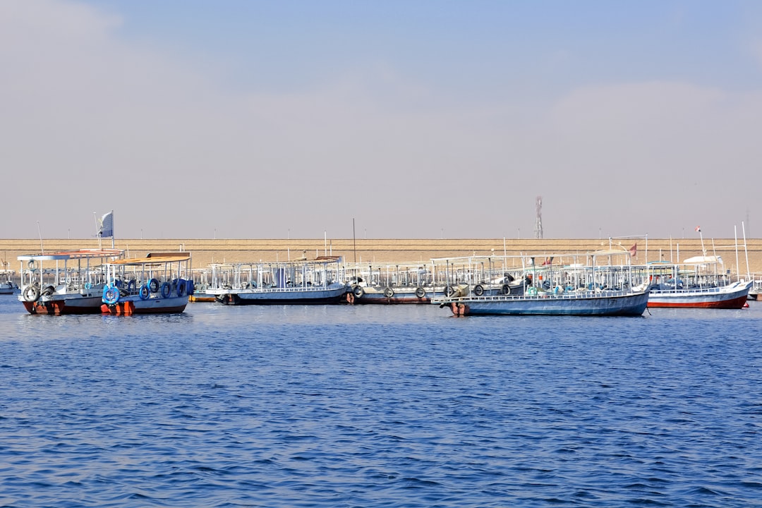 blue and white boat on dock during daytime