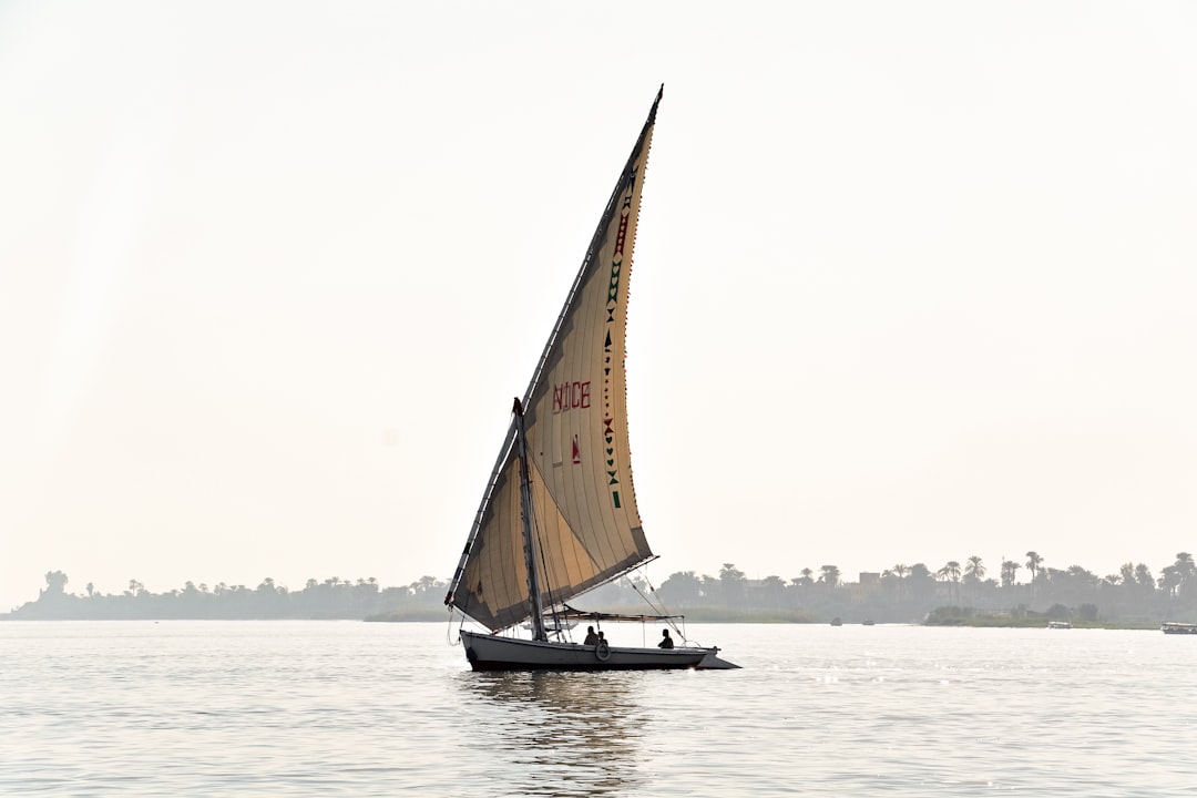 brown and white sail boat on body of water during daytime