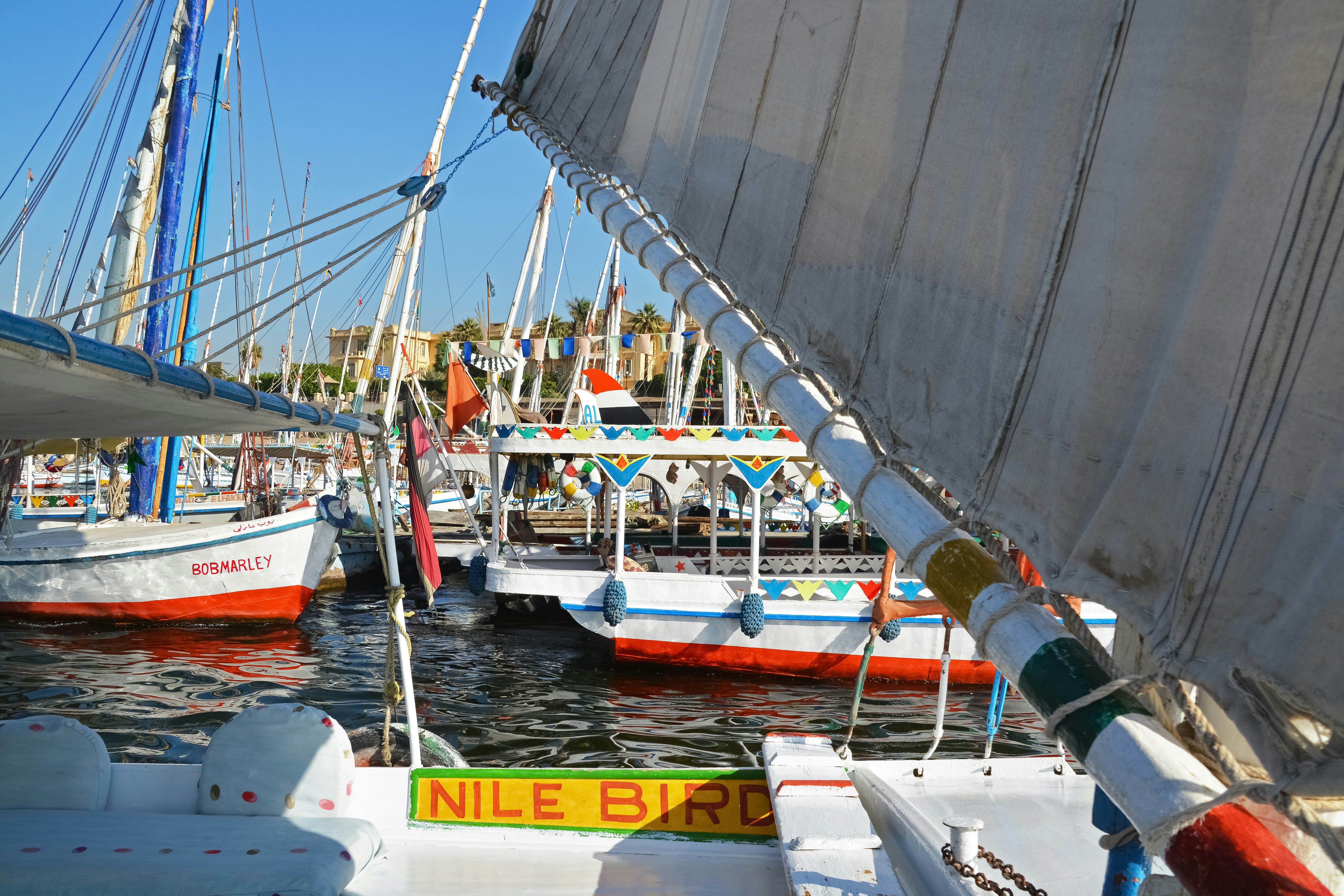 white and blue boat on body of water during daytime