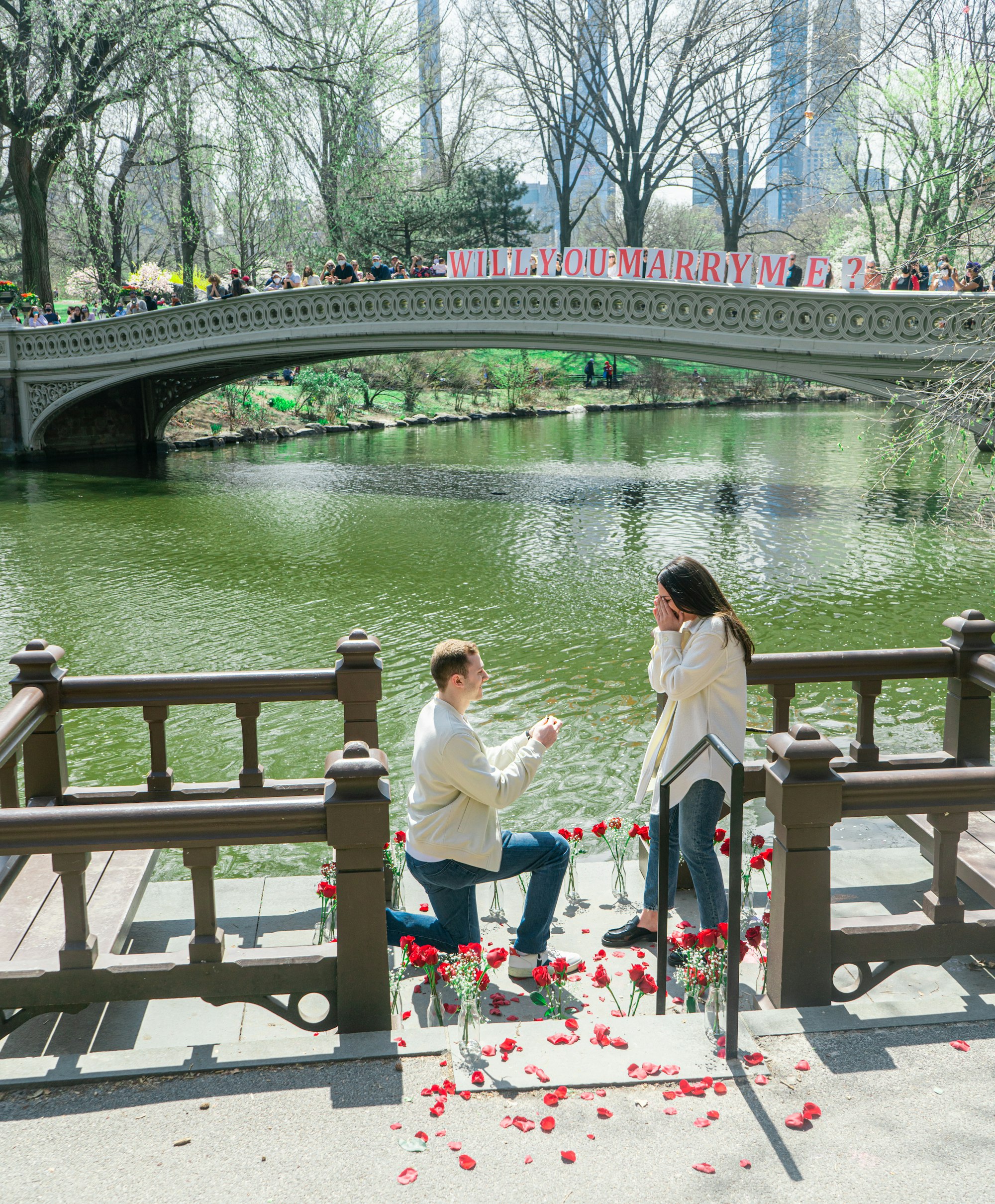 beautiful proposal, in central park.