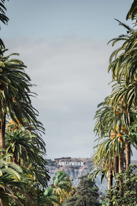 green palm trees near white concrete building under white clouds during daytime