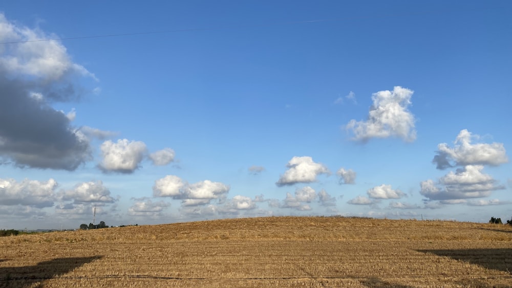 brown field under blue sky and white clouds during daytime
