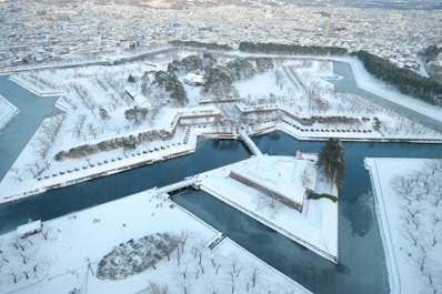 aerial view of white snow covered field during daytime