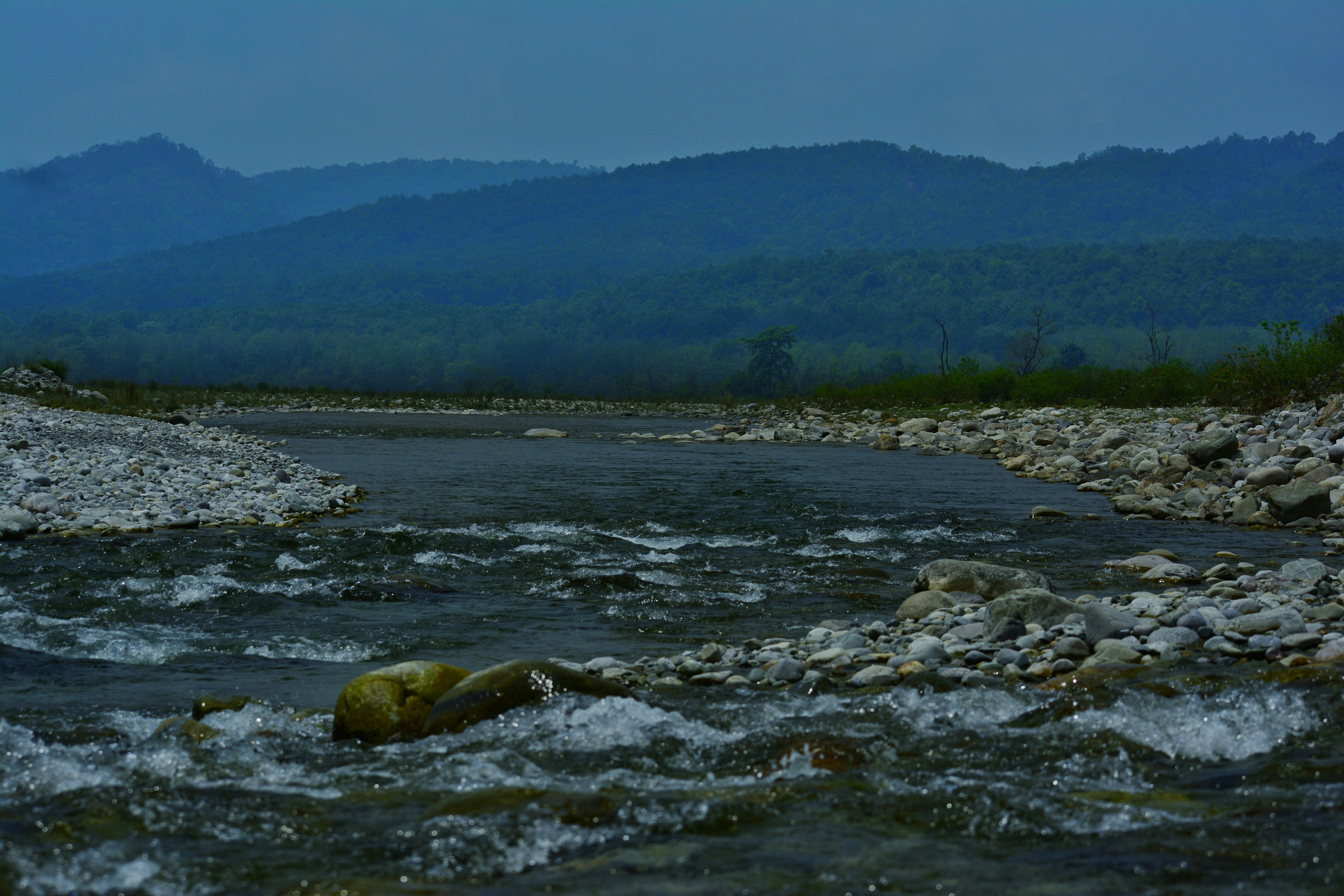 The Psychological Impact on Witnesses (image credits: unsplash)