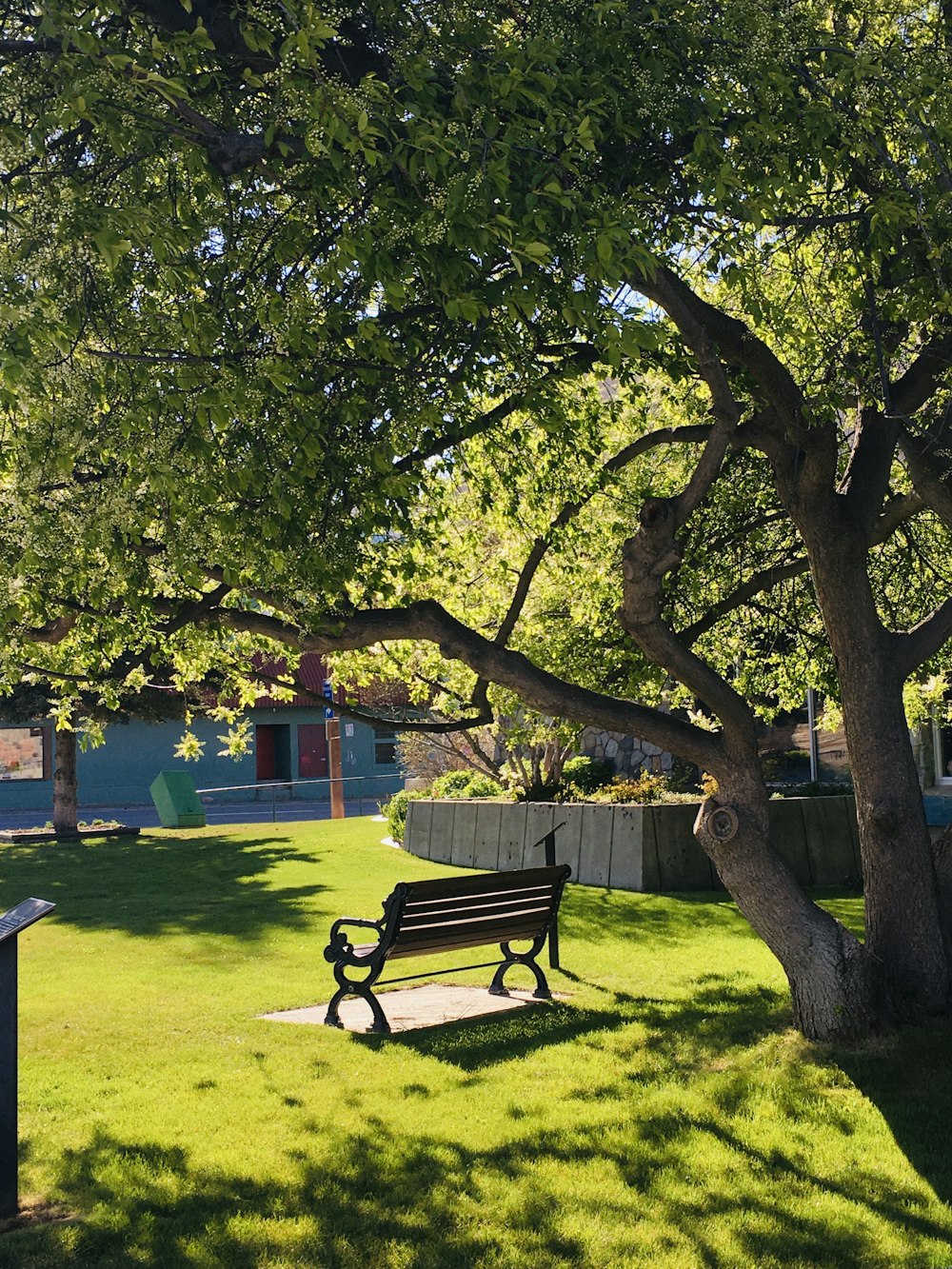 black metal bench under green tree