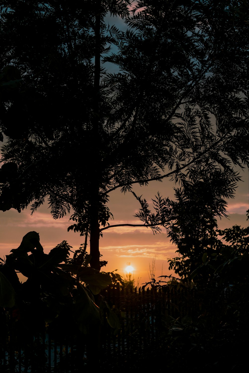 silhouette of man sitting on ground during sunset