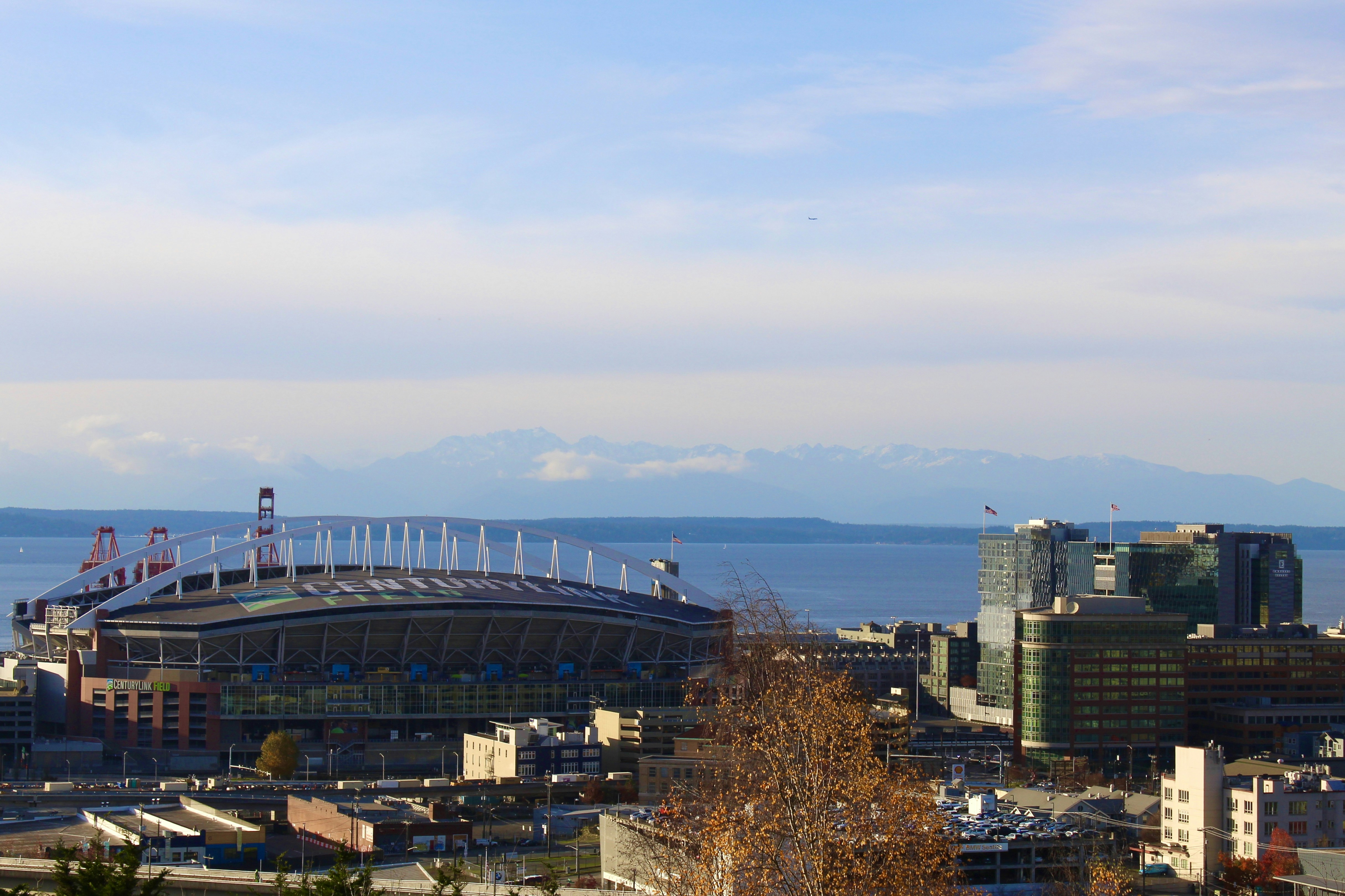 city skyline under blue sky during daytime