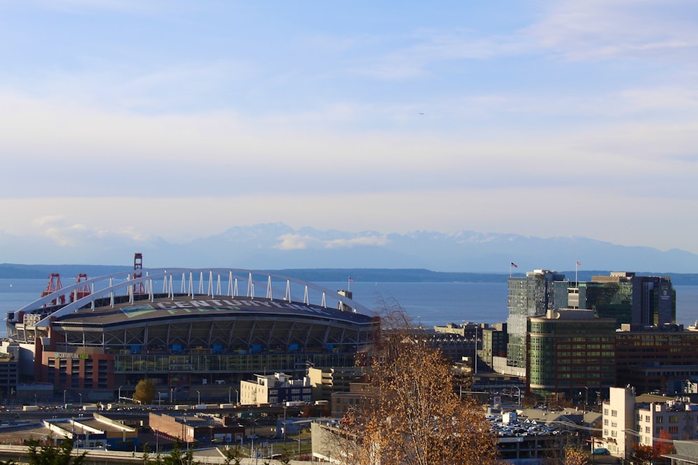 city skyline under blue sky during daytime