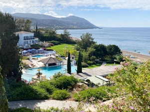 green trees near body of water during daytime