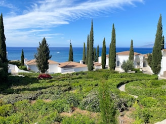 white and brown house near green trees under blue sky during daytime