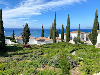 white and brown house near green trees under blue sky during daytime