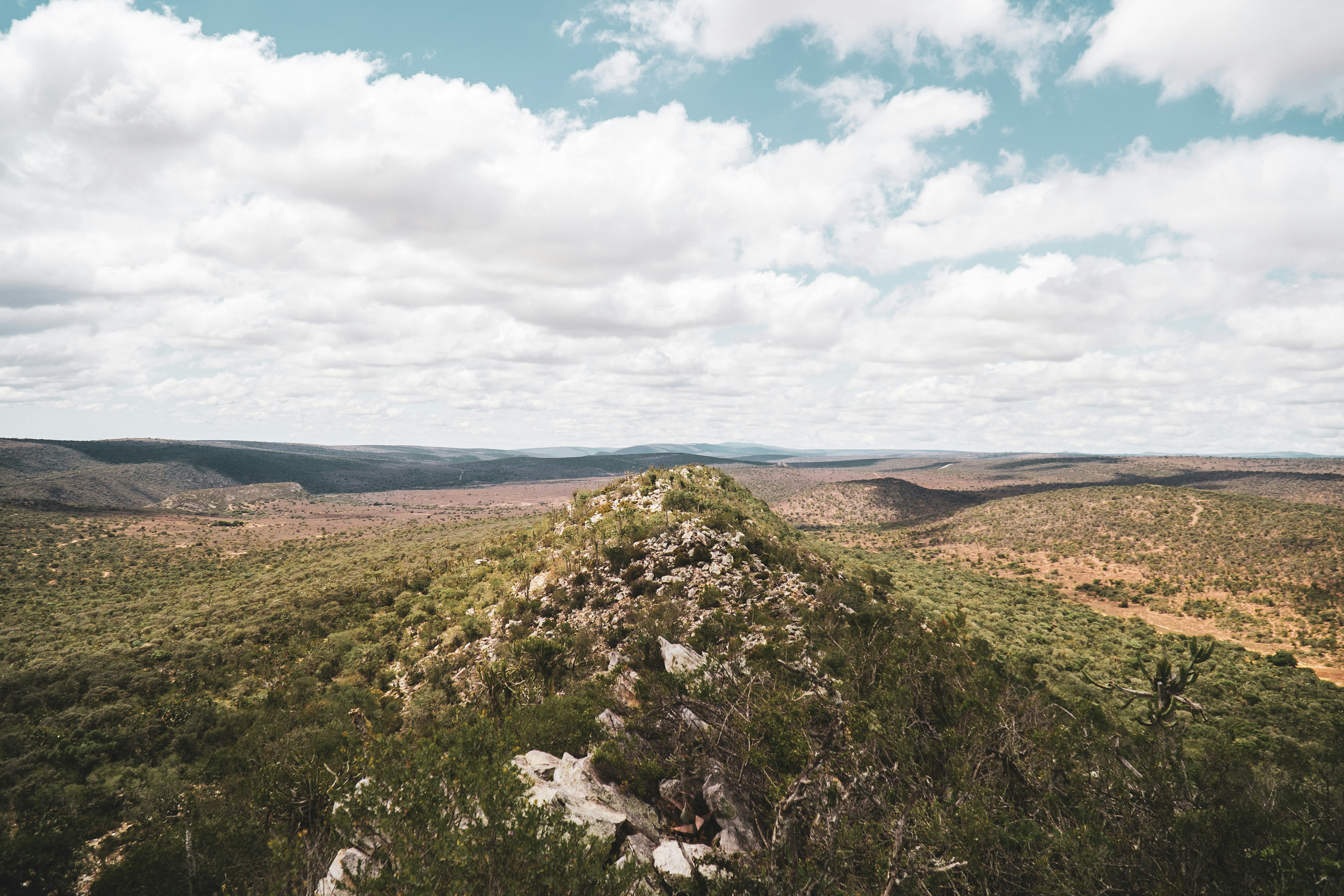 Johannesburg mine dump landscape