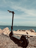 black and red bicycle on brown rock near body of water during daytime